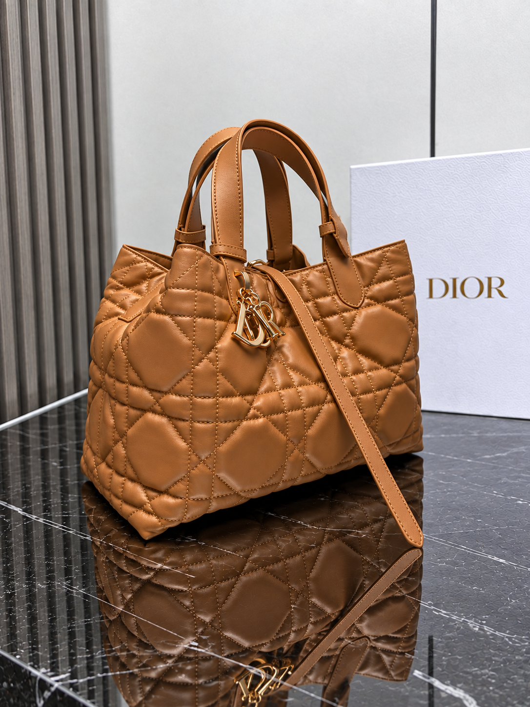 DR TOUJOURS | CAMEL