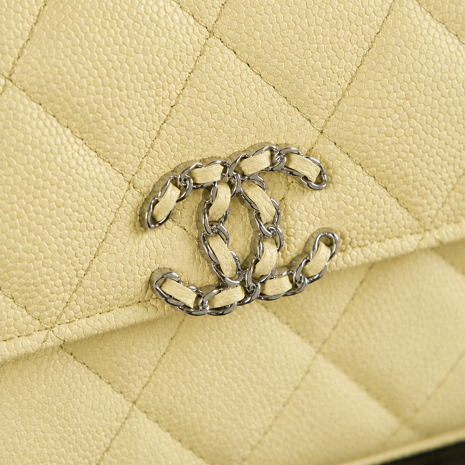 CC KELLY CLUTCH | AMARILLO