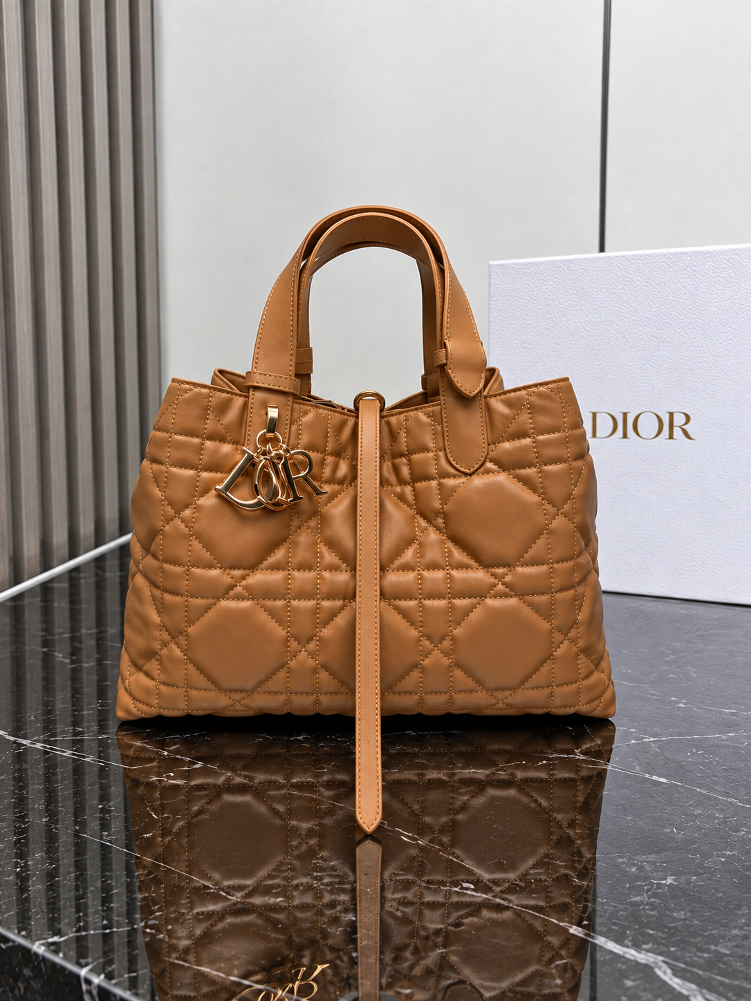 DR TOUJOURS | CAMEL