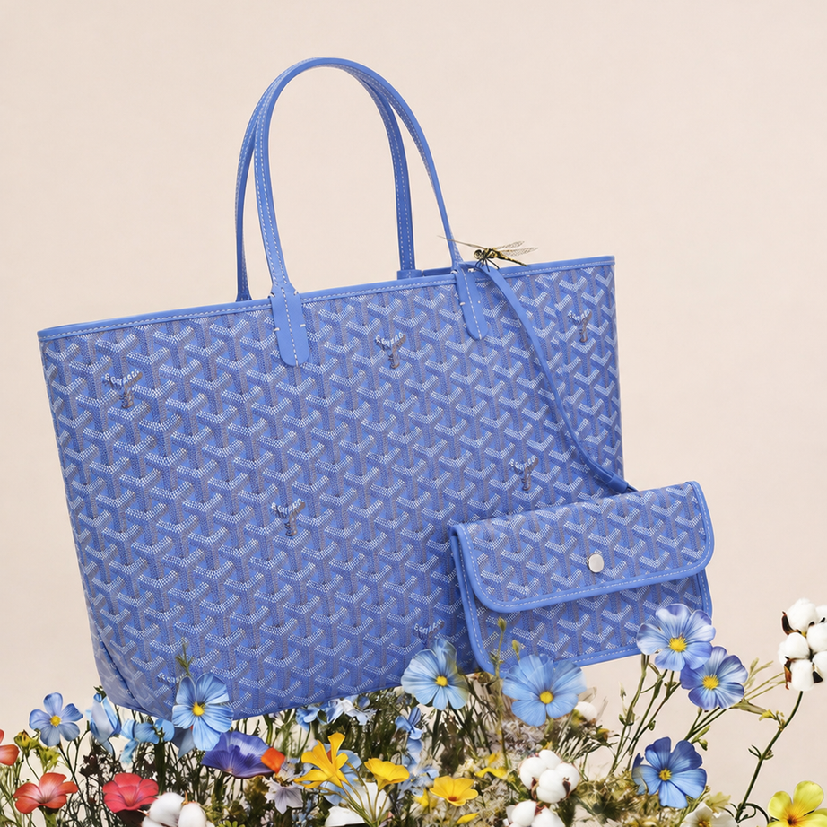 GD SAINT LOUIS AZUL