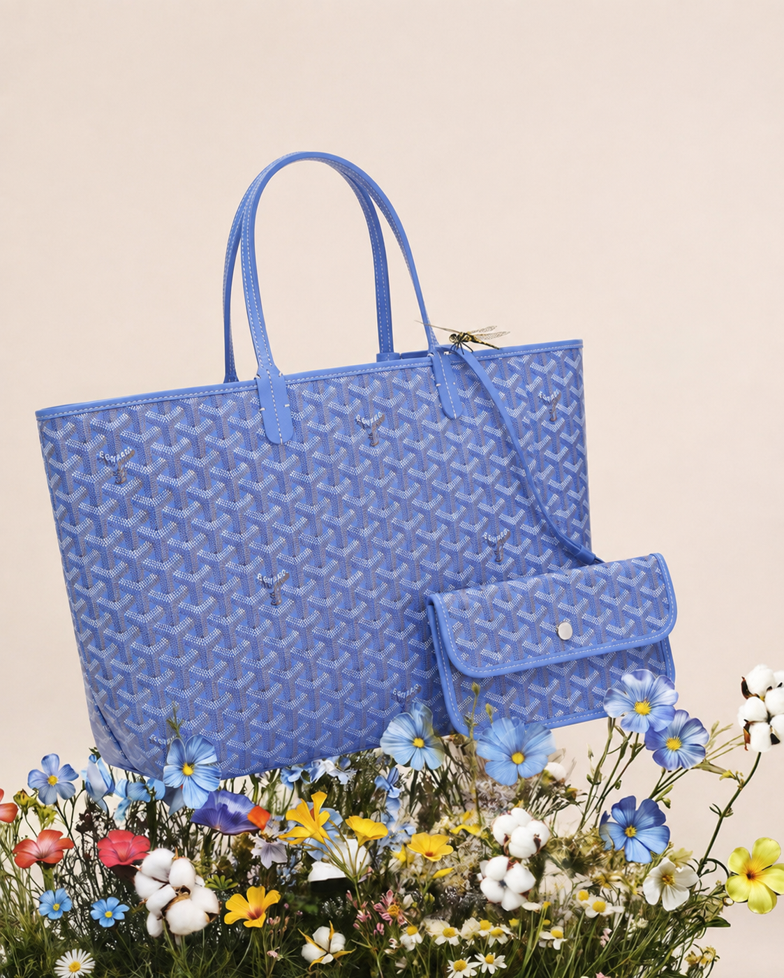 GD SAINT LOUIS AZUL