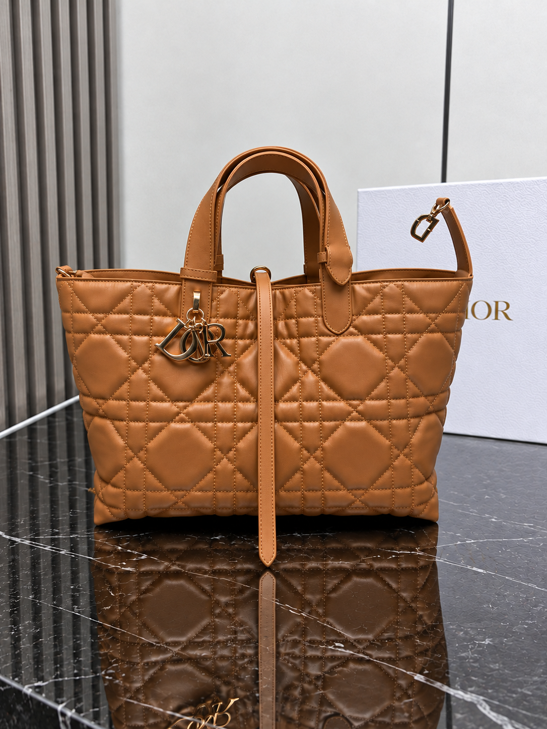 DR TOUJOURS | CAMEL