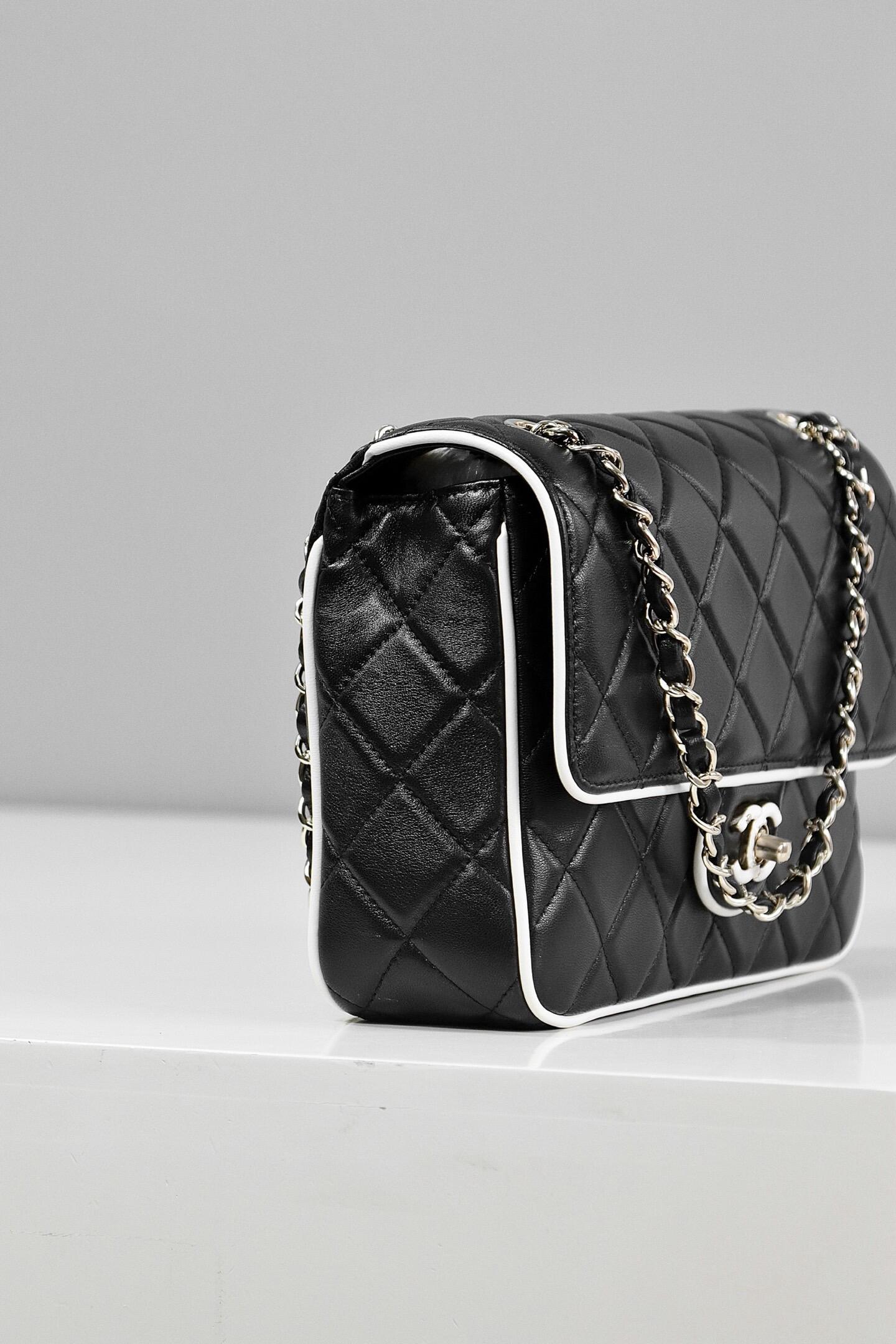CC TIMELESS