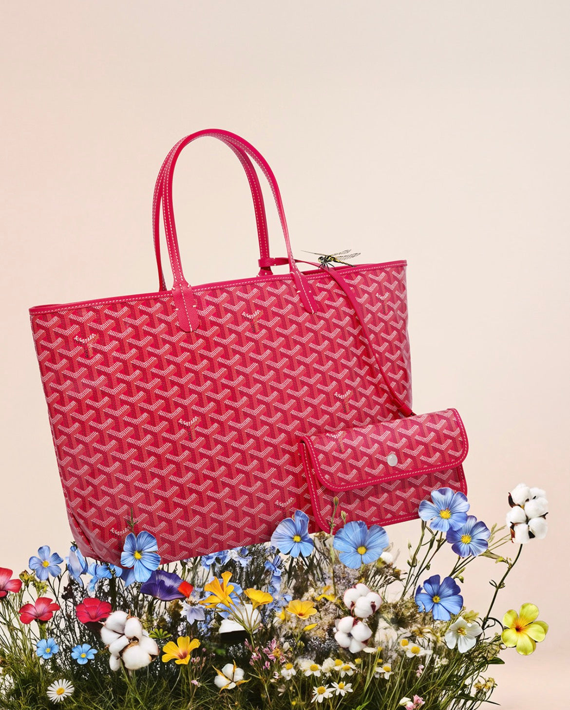 GD SAINT LOUIS ROJO