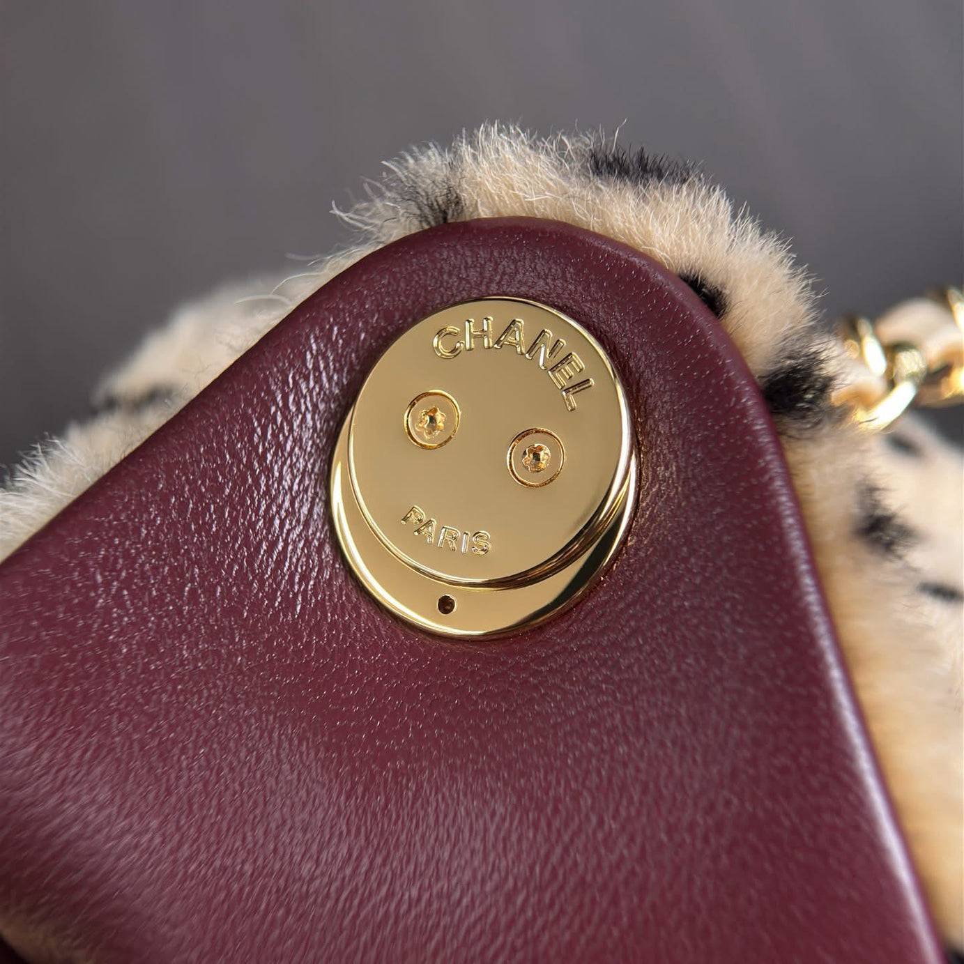 CC 25 PEQUEÑO | CHEETAH PRINT