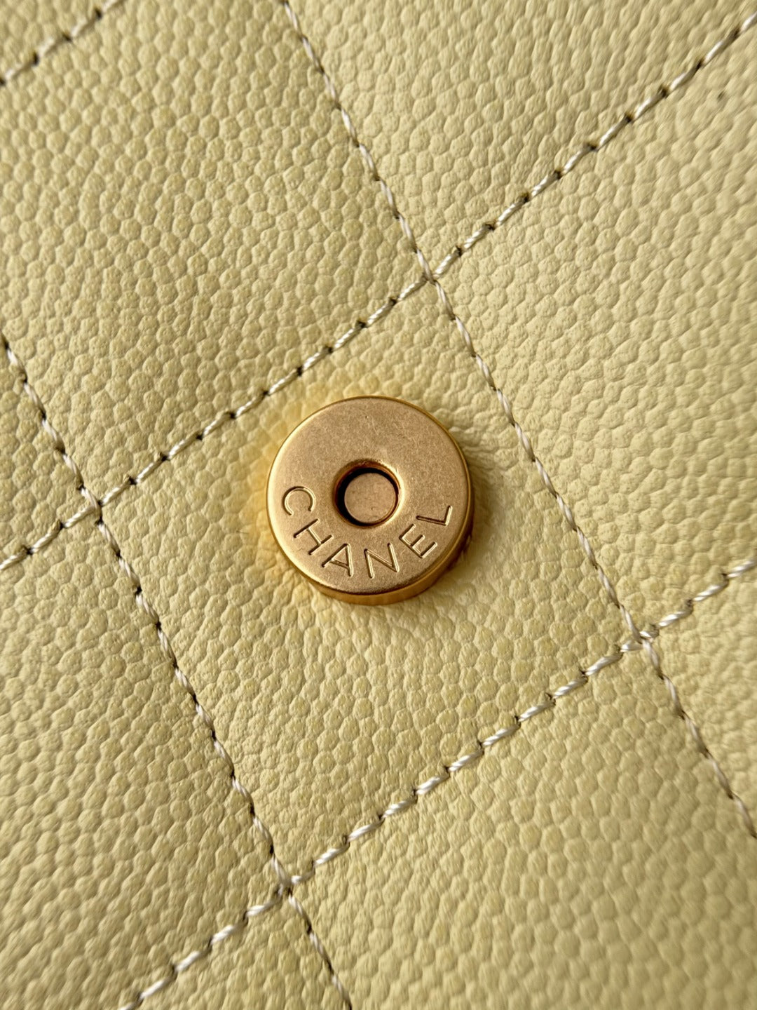 CC 25 PEQUEÑO CAVIAR | AMARILLO