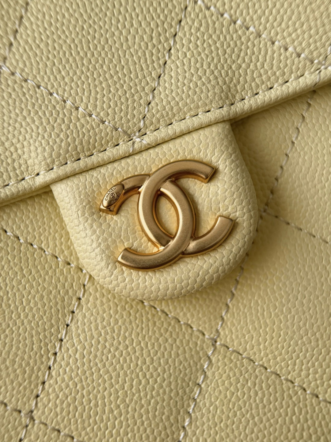 CC 25 PEQUEÑO CAVIAR | AMARILLO
