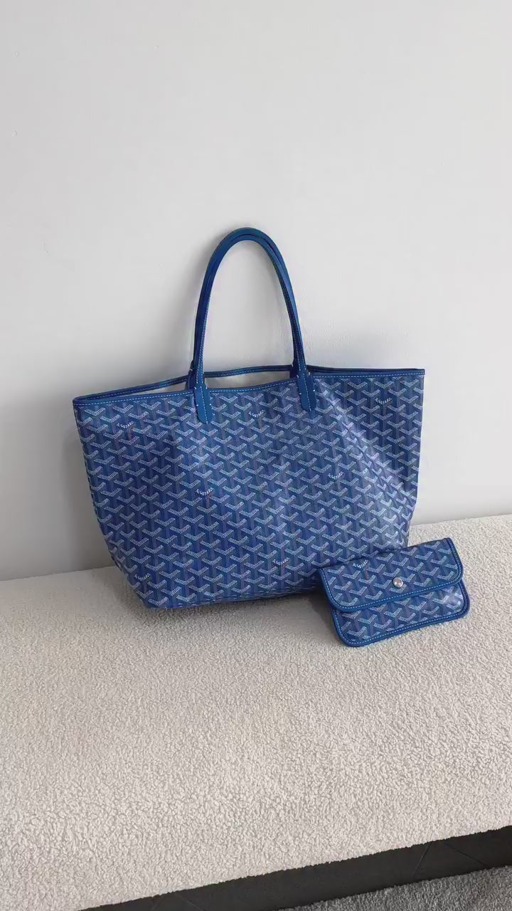 GD SAINT LOUIS AZUL